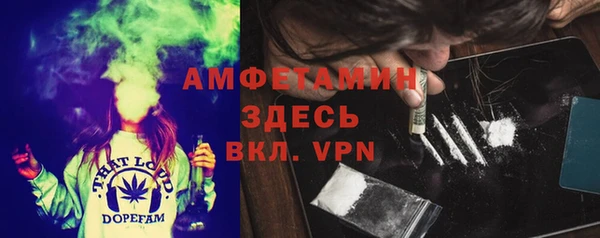 твердый Абаза