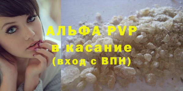 твердый Абаза